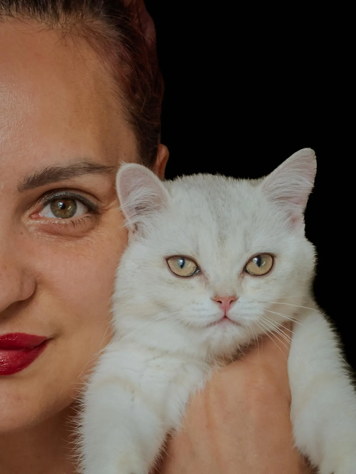 Cornelia, Züchterin der British Cattery, mit einer weißen Britisch Kurzhaar Katze